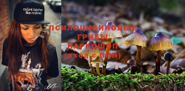 спиды Армянск
