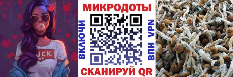 Галлюциногенные грибы мухоморы  Таруса 